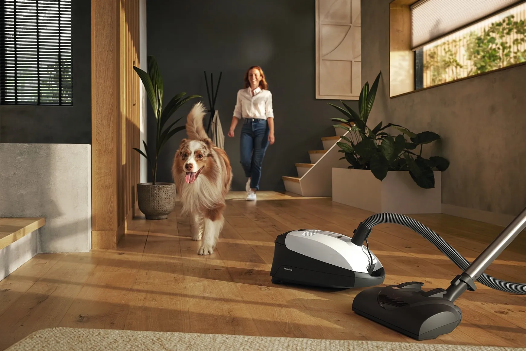 Miele Classic C1 Cat & Dog Powerline Sbbn0- Bodenstaubsauger Mit Beutel